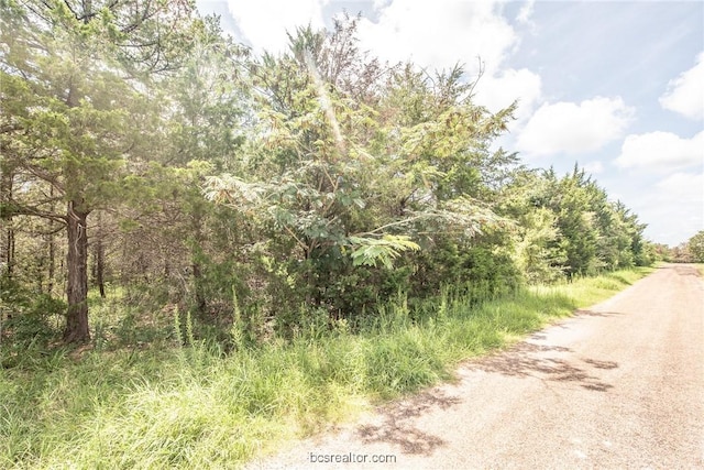 LOT92 Lois Lane St, Somerville, TX 77879 - photo 19
