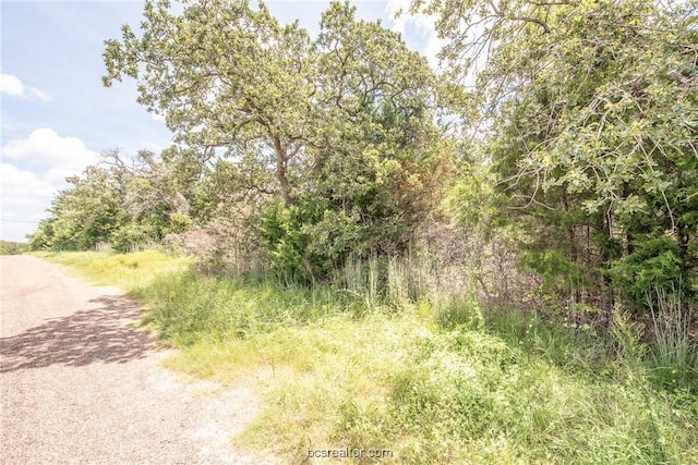 Listing photo 3 for LOT92 Lois Lane St, Somerville TX 77879