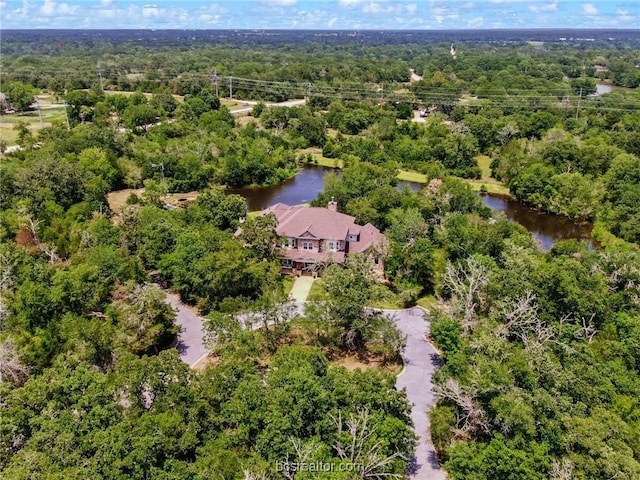 1650 Bird Pond Rd, College Station, TX 77845 - aerial view of a forest and a large body of water