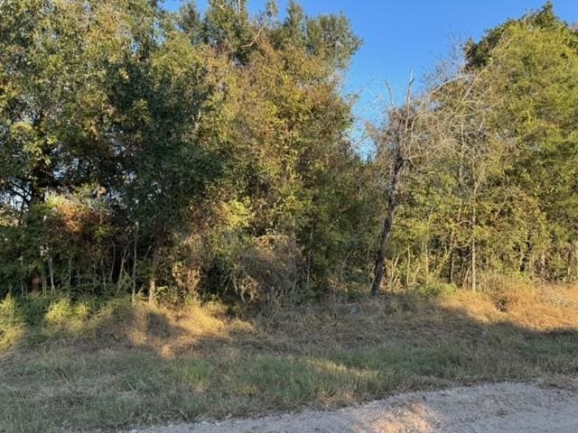 Listing photo 3 for 3367 Beaver Creek Rd, Caldwell TX 77836