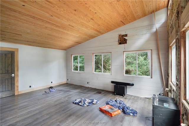 interior space featuring hardwood / wood-style floors, lofted ceiling, wooden ceiling, and wood walls