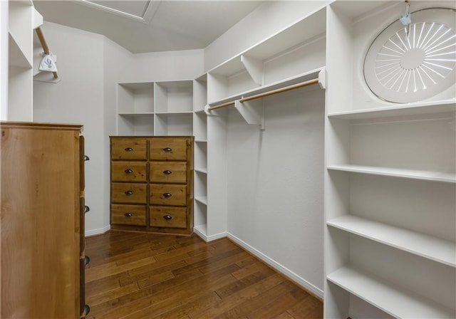 spacious closet featuring wood-type flooring