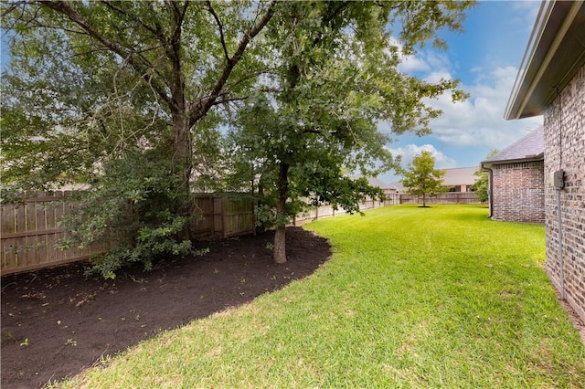 4813 Coopers Hawk Dr, College Station, TX 77845 - view of yard