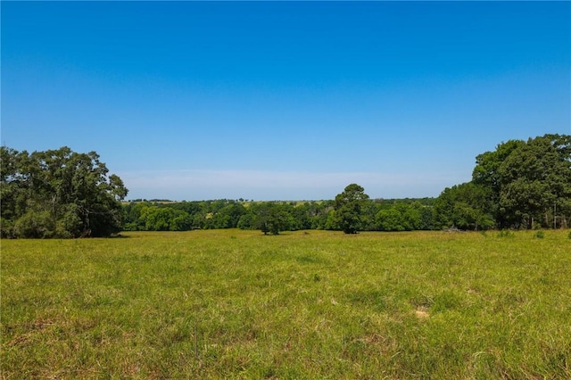 TRACT09 County Road 305, Navasota, TX 77868 - photo 13