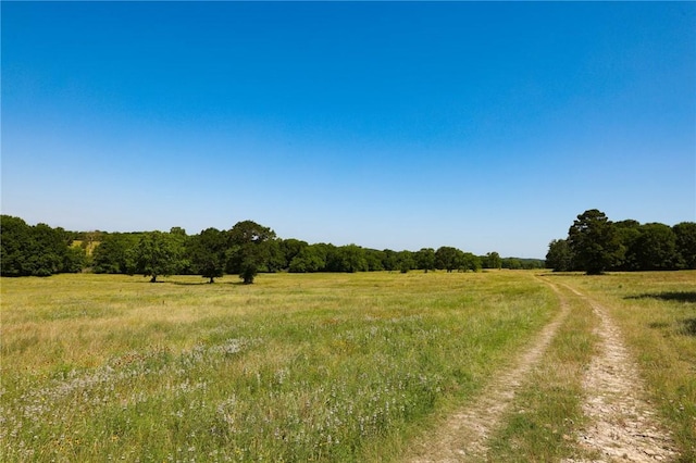 TRACT09 County Road 305, Navasota, TX 77868 - photo 9