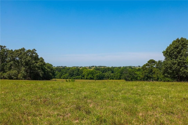 TRACT09 County Road 305, Navasota, TX 77868 - photo 11