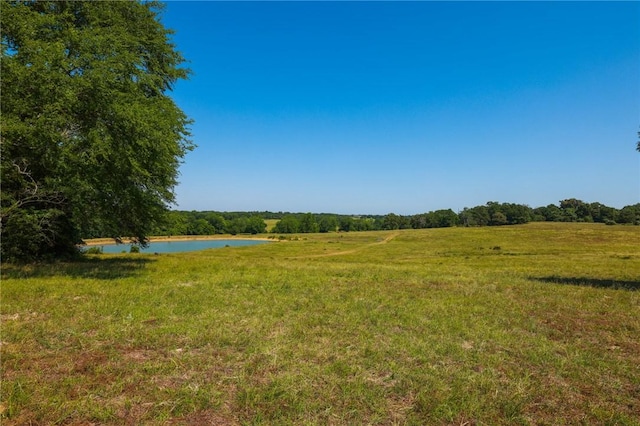 TRACT09 County Road 305, Navasota, TX 77868 - photo 14