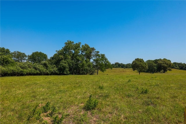 TRACT09 County Road 305, Navasota, TX 77868 - photo 12