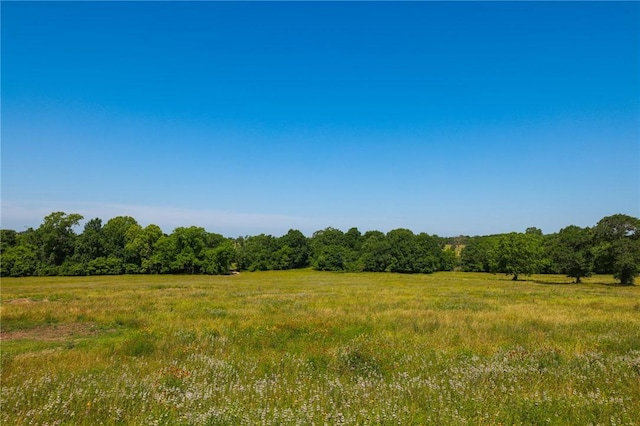 TRACT09 County Road 305, Navasota, TX 77868 - photo 10