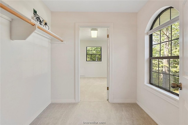 interior space with light carpet and a wealth of natural light