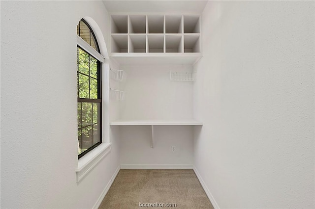 spacious closet featuring light carpet