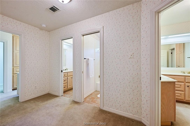 hallway featuring light carpet, a textured ceiling, and sink