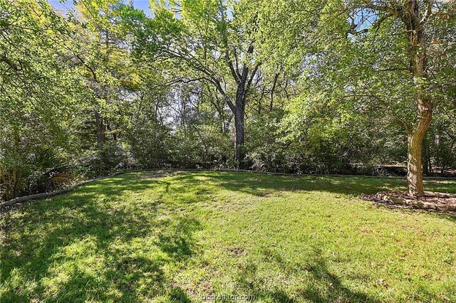 4591 Sandpiper Cv, College Station, TX 77845 - photo 42