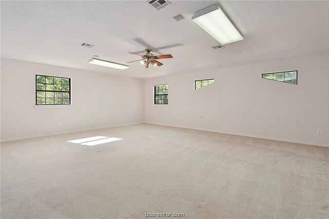 4591 Sandpiper Cv, College Station, TX 77845 - photo 30