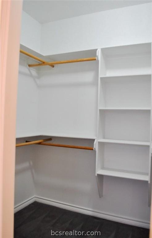 walk in closet with hardwood / wood-style flooring