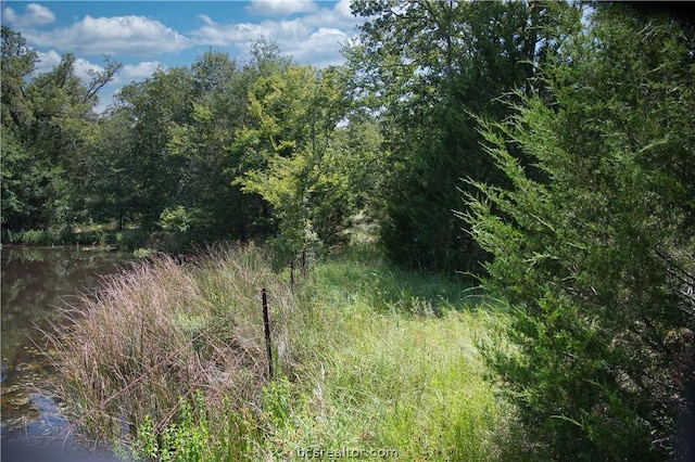 9769 N Fm 2096 N, Franklin, TX 77856 - photo 7