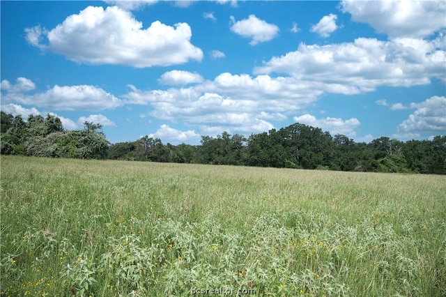 9769 N Fm 2096 N, Franklin, TX 77856 - photo 13