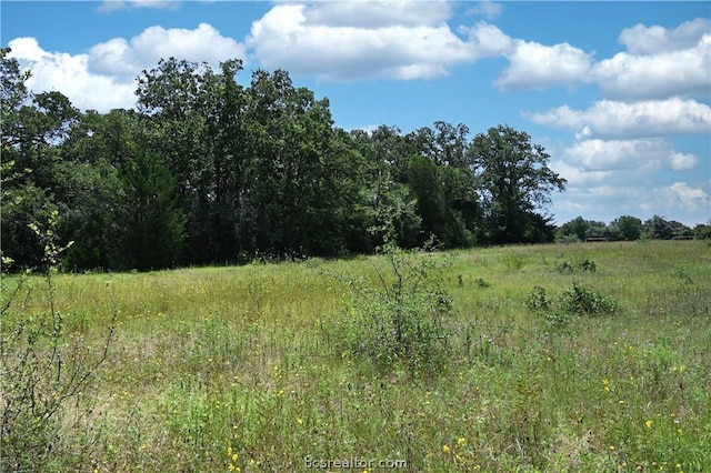 9769 N Fm 2096 N, Franklin, TX 77856 - photo 14