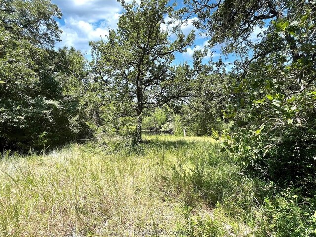 9769 N Fm 2096 N, Franklin, TX 77856 - photo 41