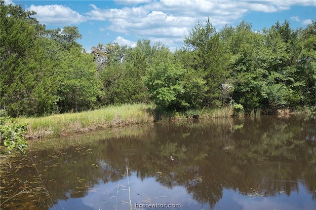 9769 N Fm 2096 N, Franklin, TX 77856 - photo 16