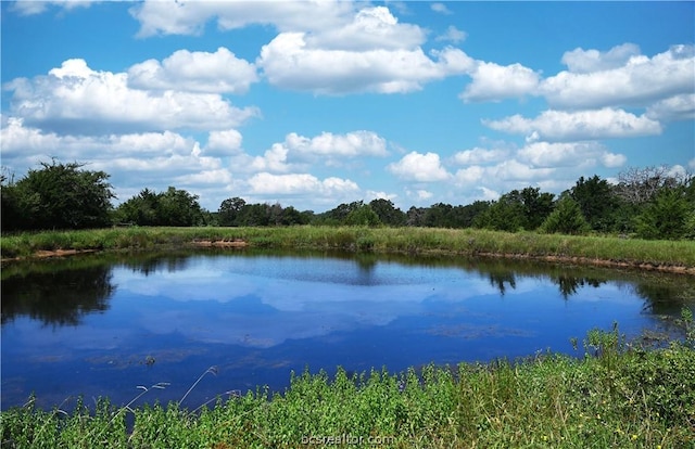 9769 N Fm 2096 N, Franklin, TX 77856 - photo 8
