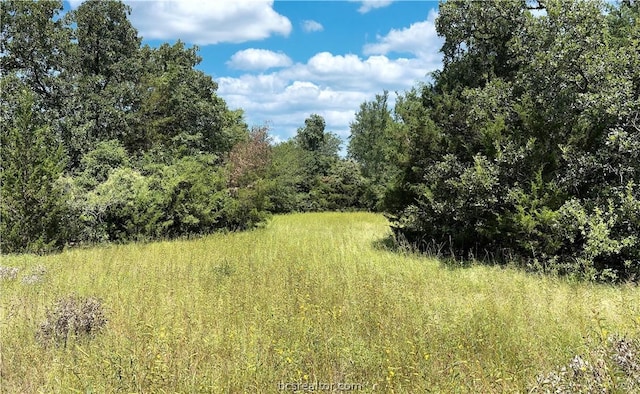 9769 N Fm 2096 N, Franklin, TX 77856 - photo 39
