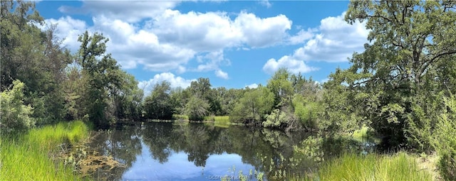 9769 N Fm 2096 N, Franklin, TX 77856 - photo 40