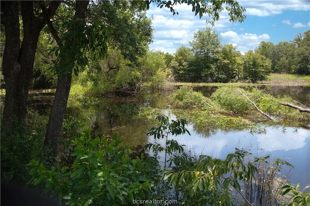 9769 N Fm 2096 N, Franklin, TX 77856 - photo 22