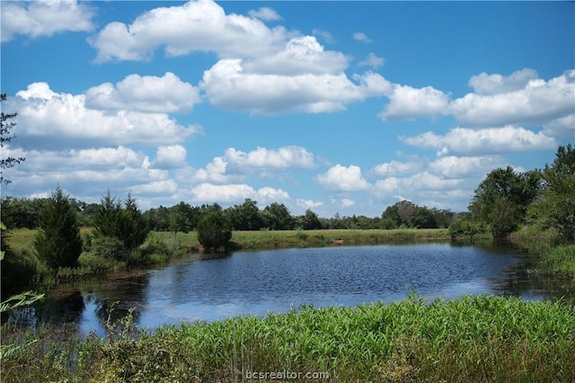 9769 N Fm 2096 N, Franklin, TX 77856 - photo 9