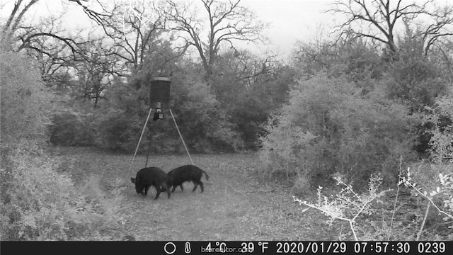 9769 N Fm 2096 N, Franklin, TX 77856 - photo 46