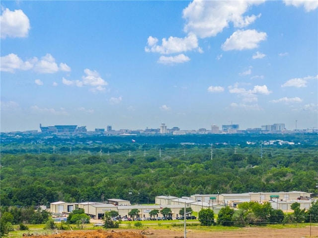 4842 Native Tree Ln, College Station, TX 77845 - drone / aerial view