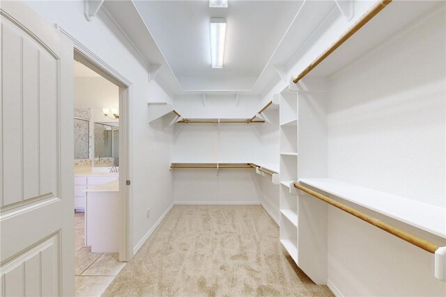walk in closet featuring light colored carpet and a sink