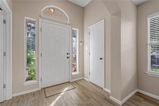 foyer featuring a wealth of natural light and light wood-type flooring