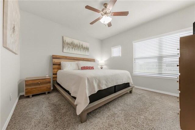 2929 Papa Bear Dr, College Station, TX 77845 - photo 15