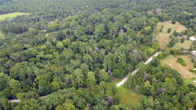 TBDTRACT3 Deer Ridge Rd, Bedias, TX 77831 - photo 2