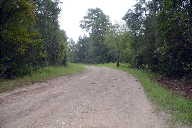 TBDTRACT3 Deer Ridge Rd, Bedias, TX 77831 - photo 16