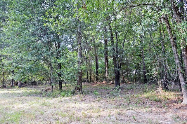 TBDTRACT3 Deer Ridge Rd, Bedias TX, 77831 land for sale