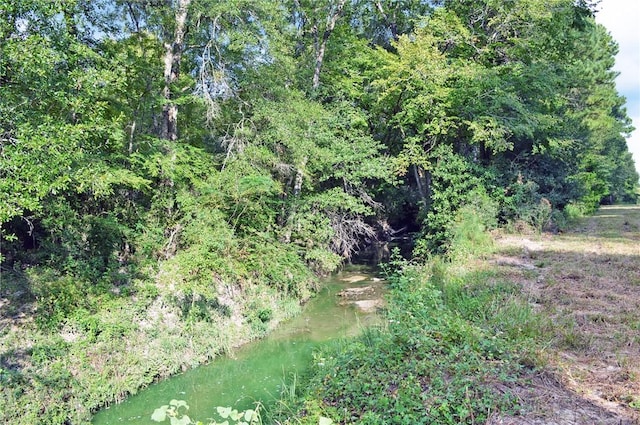 TBDTRACT3 Deer Ridge Rd, Bedias, TX 77831 - photo 13