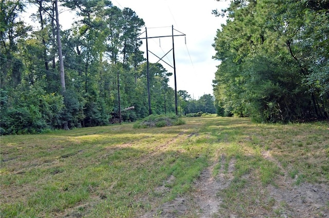 TBDTRACT3 Deer Ridge Rd, Bedias, TX 77831 - photo 10