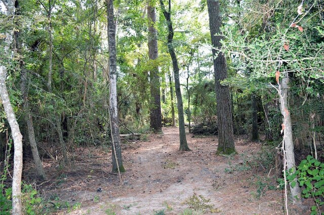 Listing photo 3 for TBDTRACT3 Deer Ridge Rd, Bedias TX 77831