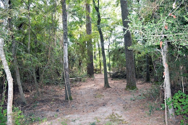 TBDTRACT3 Deer Ridge Rd, Bedias, TX 77831 - photo 3