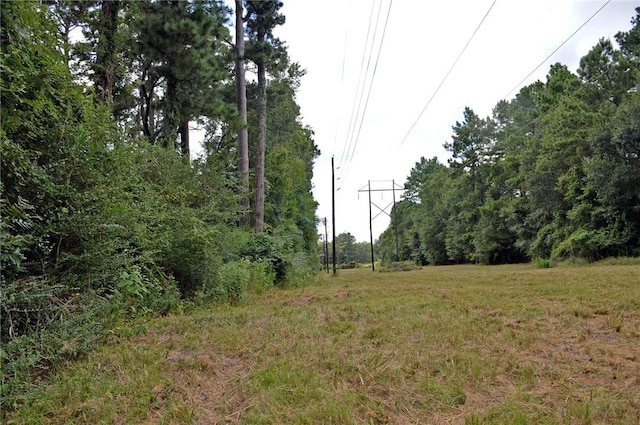 TBDTRACT3 Deer Ridge Rd, Bedias, TX 77831 - photo 5