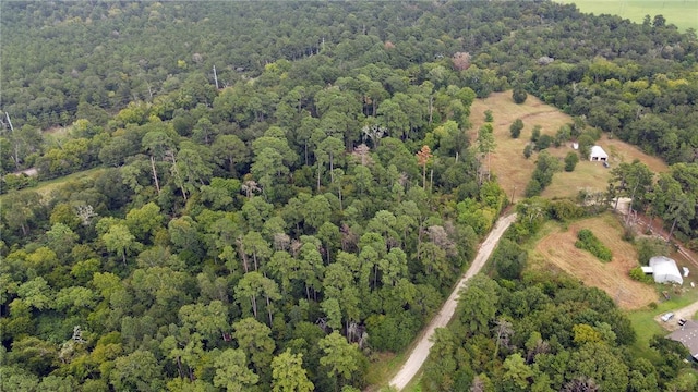 TBDTRACT3 Deer Ridge Rd, Bedias, TX 77831 - photo 7