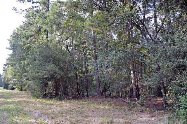 TBDTRACT3 Deer Ridge Rd, Bedias, TX 77831 - photo 11