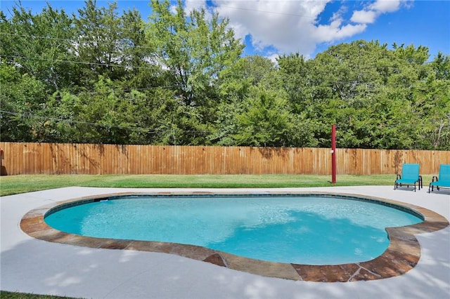 view of pool with a yard and a patio