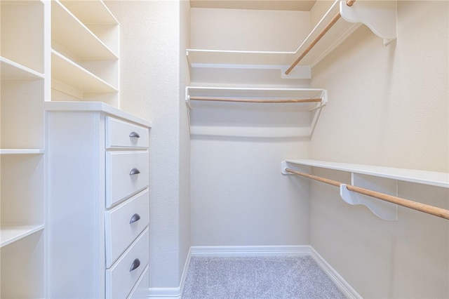 walk in closet with carpet floors