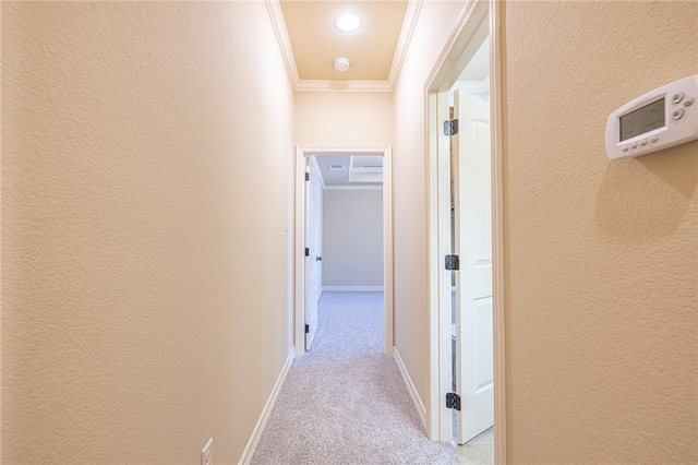 corridor featuring ornamental molding and light colored carpet