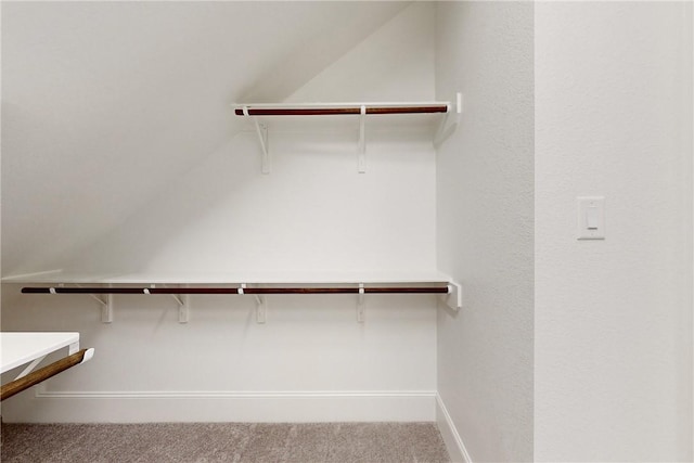 spacious closet featuring carpet flooring