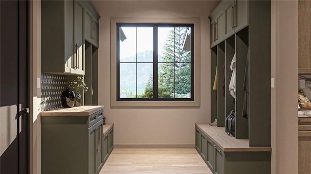 mudroom featuring light hardwood / wood-style floors