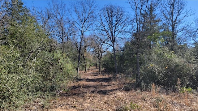 view of local wilderness